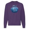 Classic 80/20 raglan sweatshirt Thumbnail